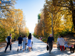 Когда в Волгоград придет бабье лето, назвал климатолог 