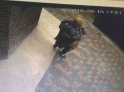 Невысокая женщина украла рюкзак из офиса фирмы в Волгограде и попала на видео