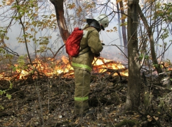 В Серафимовическом районе огнеборцы и вертолеты справились с пожаром в лесу