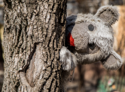 Подробности смерти 4-летней девочки и сильного отравления еще троих человек в Волгоградской области