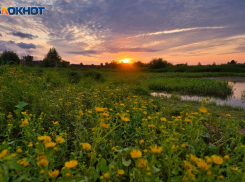 Начало сентября несет кардинальные перемены двум знакам: гороскоп на неделю