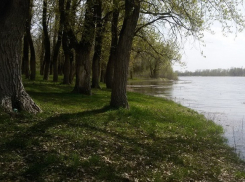 Волгоградские бизнесмены отправятся в колонию за распродажу половины Средне-Ахтубинской поймы