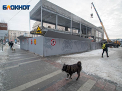 Названо имя того, кто одобрил экспертизу скандального фуд-корта в Волгограде