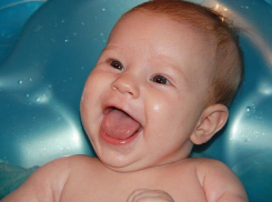 Волгоградцам рассказали, как узнать свою родословную