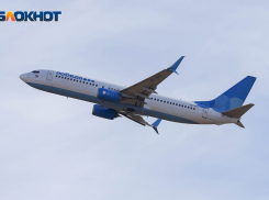 Волгоград и Брянск свяжут прямым авиарейсом