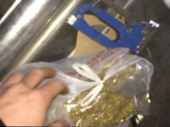 В Волгограде задержаны наркодилеры оптовой торговли «синтетической смертью»