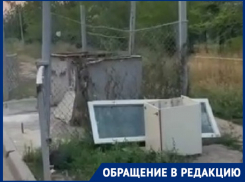 Заросли амброзии ждут школьников в Волгограде по дороге к престижной «Олимпии»