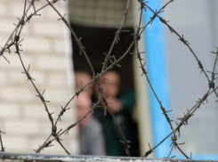 Из колоний Волгоградской области по амнистии освободили 457 осужденных