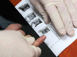 Обнаруженный мертвым на трассе в Волгоградской области мужчина оказался гражданином Беларуси 