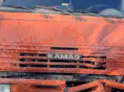 Перед автокатастрофой КамАЗ задавил насмерть мужчину на юге Волгограда
