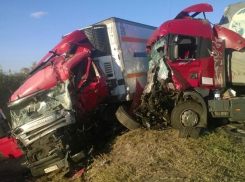 В тройном ДТП с кроссовером и грузовиками пострадали двое