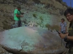 Жуткие смерти и исчезающие НЛО: куда ведет портал на Медведицкой гряде 