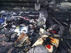Сгоревшим вместе с матерью на юге Волгограда детям было 9 и 5 лет 