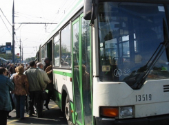 Автобусы вышли на новый кольцевой маршрут по центру Волгограда