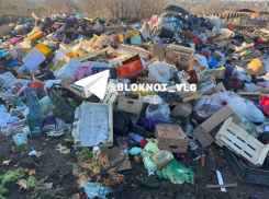 Заражение почвы глистами грозит Волгограду