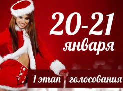 Голосование за самую сексуальную Снегурочку стартует 20 января 