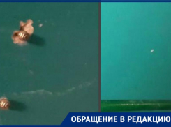 Чиновники сняли трубу с запахом канализации и забыли о проблеме девушки с ДЦП в Волгоградской области 