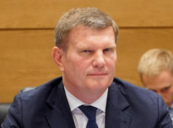 «Освоить бабло и не отвечать за природу»: миллиардер Олег Савченко поддержал вырубку деревьев в Волго-Ахтубинской пойме ради своего инвестпроекта