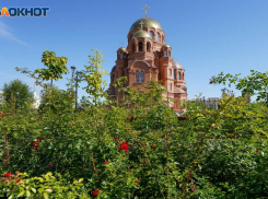 Волгоградцы ожидают всплеск заболеваемости после открытия собора и гала-концерта