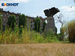 Волгоградцы жалуются на засыхающий сквер Пушкина, который открыли год назад