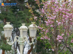 Девять дополнительных выходных ждет волгоградцев весной 