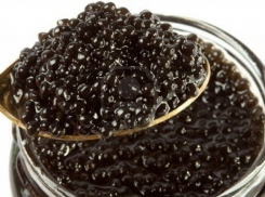 Под Волгоградом задержали Hyundai с незаконно добытой черной икрой 