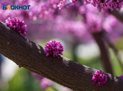 Успех в заработках 4 июня: что звезды уготовили волгоградцам в пятницу