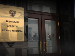 Федералы взял на карандаш волгоградских чиновников 