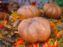 Аномальное потепление до 9 градусов принесет антициклон в Волгоград