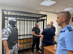 Подозреваемого в зверском убийстве судьи Ветлугина взяли под стражу