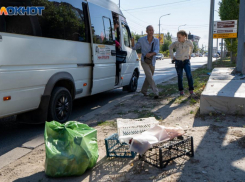 В Волгоградской области на 30 процентов снизилось число пассажирских перевозок