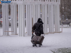 Тройную погодную опасность из-за метели и снегопада предсказали Волгограду синоптики