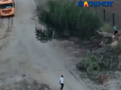 Варварскую вырубку деревьев в пойме реки Царица сняли на видео в Волгограде