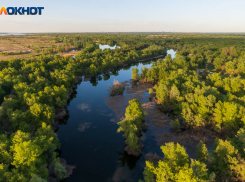 Поиски лучшей жизни привели крестьян в Иловатку: история волгоградского села