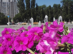 Благоустроенный парк появится на юге Волгограда