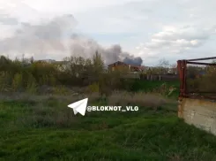 Царицынская пойма загорелась в Волгограде 