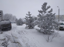 В Волгограде все больше пахнет весной