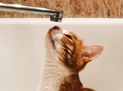 Без воды в многоэтажке провели новогодние выходные волгоградцы 