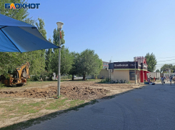 Взамен дефицитной и пущенной на вырубку зелени волгоградцам предложили торговый павильон