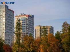 В пяти районах Волгограда в понедельник отключат свет 