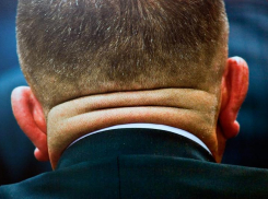 Волгоградские чиновники на 1,8 млрд завысили цены при проведении госзакупок