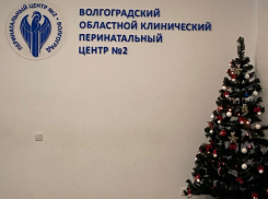 Семья Симоновых из Волгограда благодарит областной перинатальный центр 