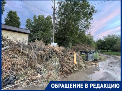 Волгоградцы сняли для чиновников видео о поглотившей дорогу свалке