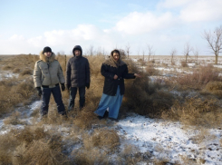 Под Волгоградом 44-летняя женщина пыталась незаконно перевезти через границу 17 рогов сайгаков