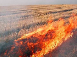 Из-за пожара в опасности оказались жители целого хутора в Волгоградской области