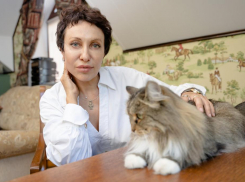 Мириться лучшего всего в постели: известный волгоградский психотерапевт Лада Бутрина рассказала о том, как ругаться без последствий