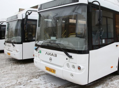 На автобусные маршруты Волгограда набирают новых сотрудников за счет «выживания» прежних 