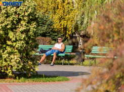 В седьмой месяц лета превратился октябрь в Волгограде