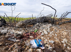 «Разбирали снаряд или пытались взорвать»: версии гибели оренбургских поисковиков от взрыва под Волгоградом