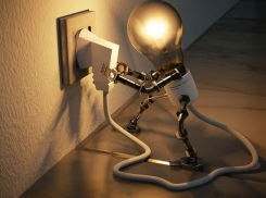 Волгоградцы наотрез отказались участвовать в акции «Час Земли»